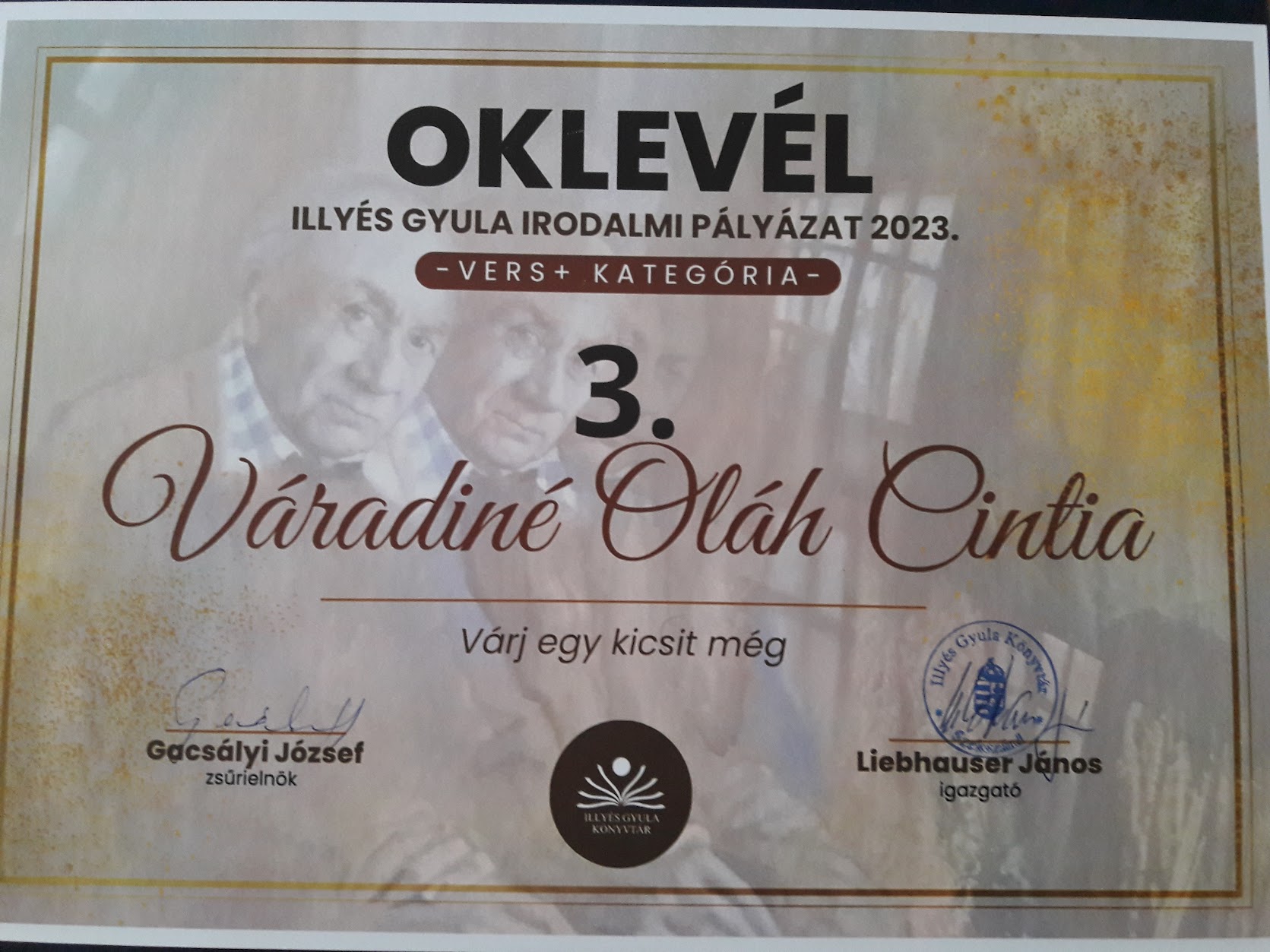 Várj egy kicsit még — III. helyezés, Illyés Gyula Könyvtár